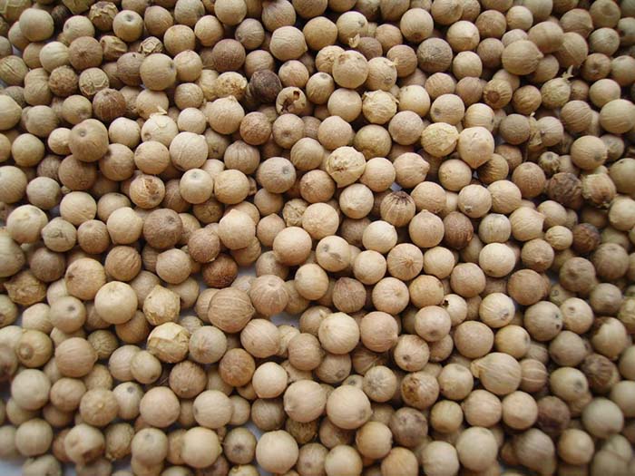 Tiêu trắng