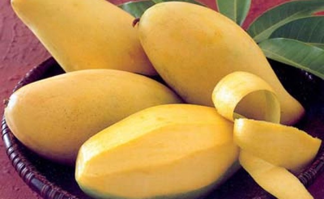 Xoài cát hòa lộc